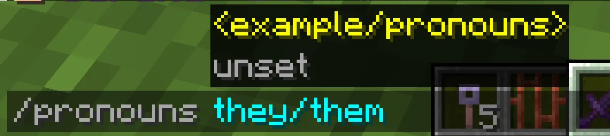 In-game chat of the command /pronouns <pronouns>